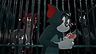 Tom and Jerry 🥰❤️ | WhatsApp status