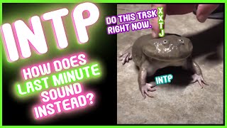 INTP - do this right now