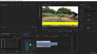 232 Motion Graphics Template Standard Application in Premiere Pro CC E7