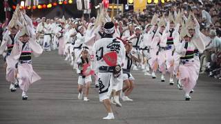 阿波踊り2017　♪無双連