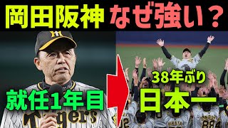 【名将】岡田監督、就任1年目で阪神を優勝・日本一に導いてしまう！！！！！！！！