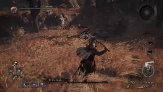 【小宗】仁王  NIOH  卑鄙的外鄉人  無傷勝立花