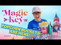 Our Magic Key Extravaganza!! Magic Key Popcorn Buckets | Magic Key Terrace | 2021 Disneyland Passes