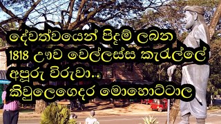 1818 ඌව වෙල්ලස්ස කැරැල්ලේ අපූරු විරුවා කිවුලෙගෙදර මොහොට්ටාල | Kiwulegedara Mohottala | Manoj TV