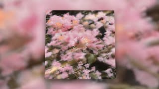 Adam Dodson - Gifts To Your Future Self [1 Hour Loop]