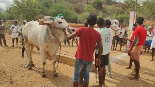 బోగోలు రెండు పళ్ళ 21వ జత భోగాది రాజగోపాల్ గారు కంబైన్డ్ జిల్లెల్ల ఆంజనేయులు గారు దాసరపల్లి గ్రామం