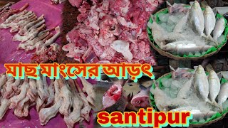 Wholesale Fish Market | পাইকারি মাছের বাজার শান্তিপুর | মাছ মাংসের বাজার | #santipur #fishmarket