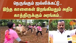 Sivaganga | Jallikattu | Tamil Nadu | Pongal | Sun News