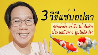 3 วิธีแช่บ่อปลา ปรับค่าpH ไม่เป็นพิษกับปลา บ่อเลี้ยงปลาที่ทำเสร็จใหม่ ต้องแช่บ่อด้วยอะไร