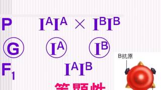 高中生物【教學視訊】焦點 195  半顯性、等顯性：