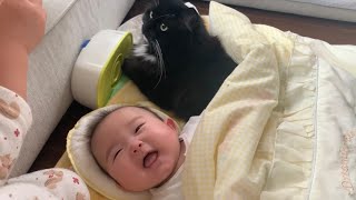 一緒の布団で添い寝して赤ちゃんをニッコニコにした猫　ラガマフィン　Cat sleeping with a baby