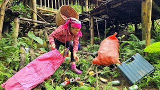 Unexpected on the way collecting scrap to sell for money taking care of the garden with children