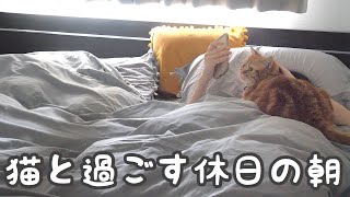 【モーニングルーティン】猫と私の休日の午前中の過ごし方【猫動画】【English subs】