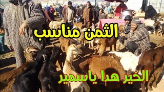 عشاق الماعز بأنواعه المعزة الضارة والوالدة الجديان الصغار والعتروس 19/1/2021