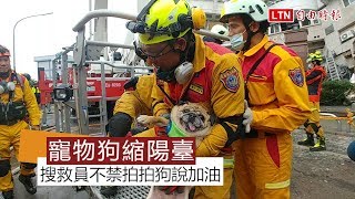 雲翠6樓救出寵物狗 振奮現場搜救