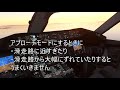 ボーイング７８７ オートパイロットで簡単に飛ぶ方法　microsoft flight simulator