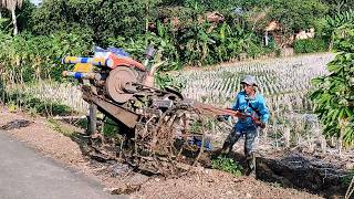 Perjalanan Pulang..!! Traktor Sawah Selesai Garap Lahan