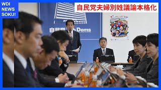 自民党内での夫婦別姓議論の行方は？ | WDI SAISOKU NEWS #自民党 #選択的夫婦別姓制度 #意見 #旧姓 #ワーキングチーム