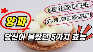 양파의 효능, 이것만 알면 건강해진다!  양파 효능과 부작용 모두 알아보자