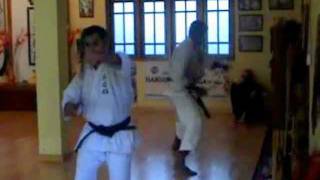 Nunchaku No Fukyugata - Hanshi, Oscar Higa Kobudo Seminars, Sri Lanka 2011