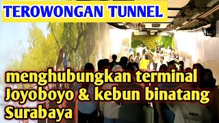 terowongan tunnel kebun binatang Surabaya \u0026 tij terminal joyoboyo