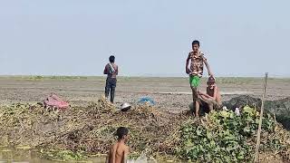 চলনবিল: বাংলার বুকে লুকিয়ে থাকা এক অনন্য সৌন্দর্য