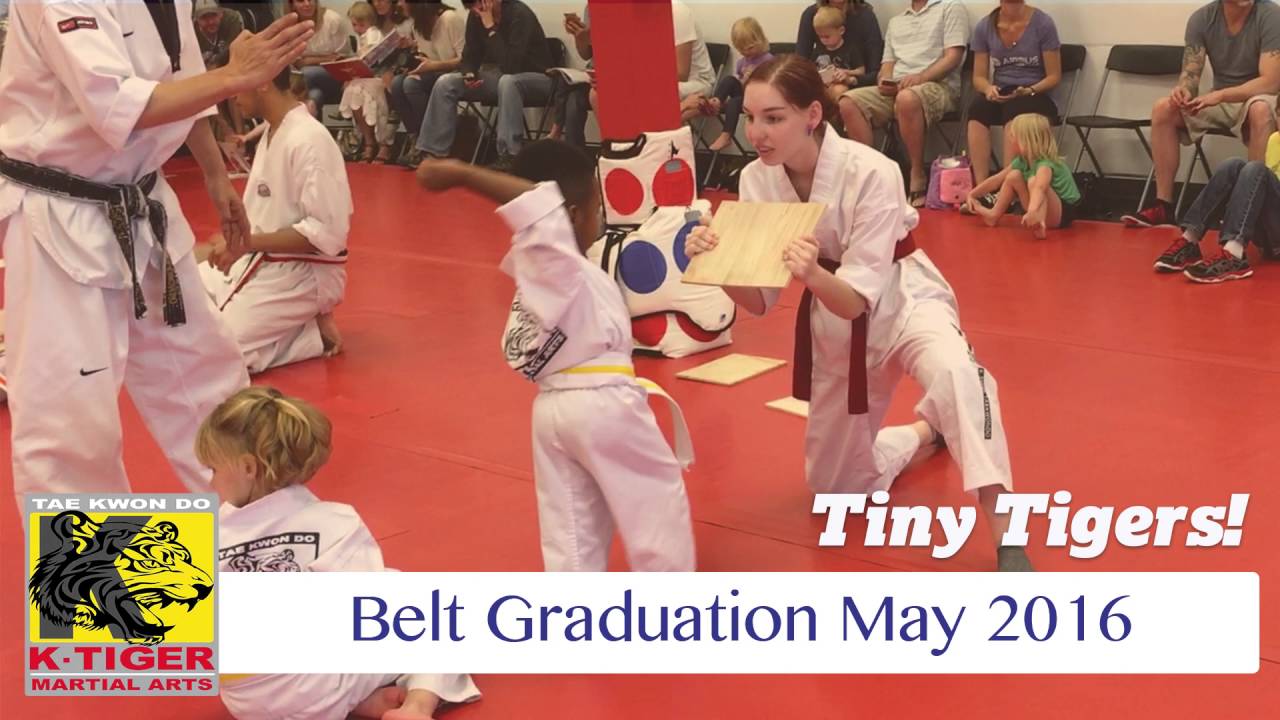 Ktiger Tinytigers Youtube