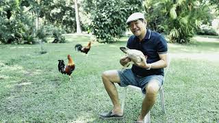 SELECTION OF PULLETS | LANCEY DELA TORRE