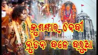 kushangai devi new bail baruaa // kushang //#devi// କୁଶଙ୍ଗାଇ ଦେବୀ ନୂତନ ବଇଲ୍ ବରୁଆ//କୁଶଙ୍ଗ