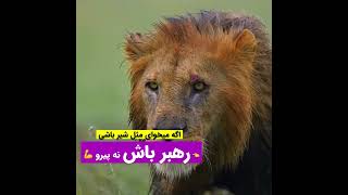 کلیپ انگیزشی ( اگه میخوای مثل شیر باشی، رهبر باش نه پیرو ) دکتر ناصر ضمانی مقدم