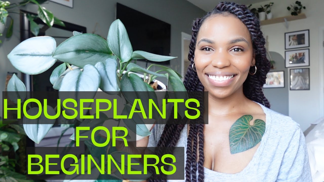 Easy Houseplants For Beginners Youtube