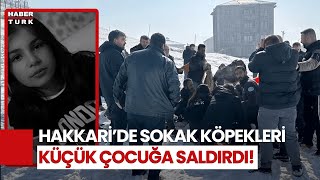 Hakkari'de Sokak Köpeklerinin Saldırdığı 12 Yaşındaki Eslem Hayatını Kaybetti!