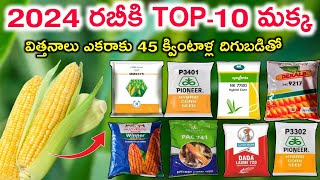 2024-25 రబీకి Top 10 హైబ్రిడ్ మక్క విత్తనాలు | Best Maize Seeds | Tata, pioneer, syngenta, advanta