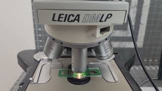 Leica DMLP Polarizing Light Microscope W/ EC3 High Speed Digital Camera 5X 10X 20X 40X 100X