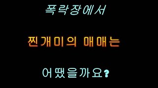 주식실패로 깡통을 찬 찐개미는 폭락장에서 어떻게 매매했을까?