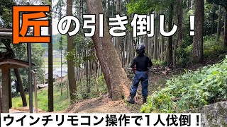 【匠の伐倒】ラジキャリーウインチで引き倒し　リモコン操作で1人伐倒！　特殊伐採