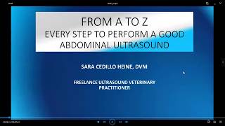 Mindray Vet Webinar - Abdomen from A to Z