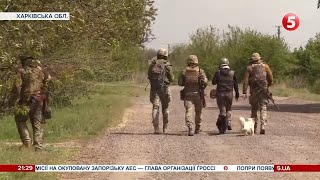 Вони стають очима і голосом війни: як журналісти працюють на фронті