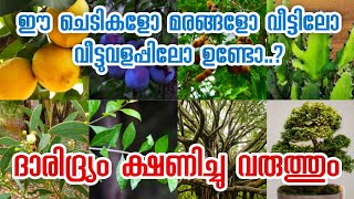 വാസ്തു പ്രകാരം വീട്ടിൽ നടാൻ പാടില്ലാത്ത ചെടികൾ | Unlucky plants for home |Vastu tips for home |Vastu