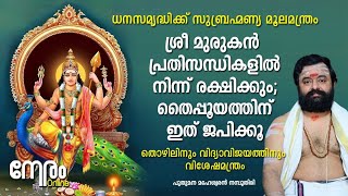 തൈപ്പൂയത്തിന് ഇത് ജപിക്കൂ സുബ്രഹ്മണ്യ ഭഗവാൻ എപ്പോഴും രക്ഷിക്കും | Thaipooyam 2025 | അത്ഭുതമന്ത്രങ്ങൾ