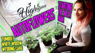 Growing Autoflowers Week 1-6, Starting, Training, Topping! Ep1