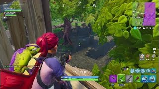 Lil Rex does duos with Spectre: Fortnite Battle Royale