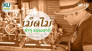 KU คู่ชุมชน : Ep.18 เม็ดไม้ ขำๆ ธรรมชาติ