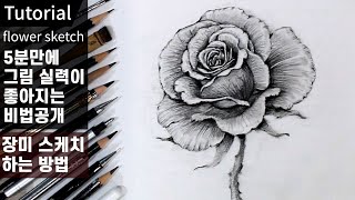 5분만에 스케치 실력이 좋아지는 법 / 꽃 스케치 쉽게 하는 3가지 비법 공개 / 그림 기초강의 / 연필스케치, 장미 스케치, 연필소묘, 드로잉