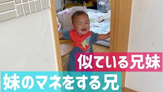 【妹のマネをする2歳4ヶ月の双子】似ている兄妹【四人育児】