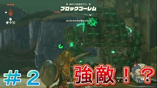 ブブブ、ブロックゴーレム⁉【ゼルダの伝説　ティアーズオブザキングダム　＃２】