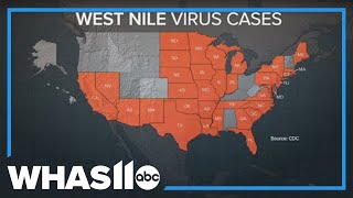 At least 3 people in the US died from West Nile Virus this year; What to know