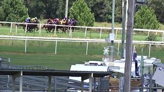 Race 1. B55 Handicap 800m, Kilcoy Australia Day Races, Kilcoy Turf Club 26/01/2021  (1st try racing)