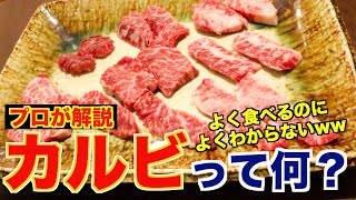 【肉の豆知識】カルビって何？焼肉屋がすべて教えます