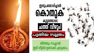 കൊതുക് കൂട്ടമായി ചത്തു വീഴും / എന്നും വൈകിട്ട് ഇങ്ങനെ ചെയ്‌യു